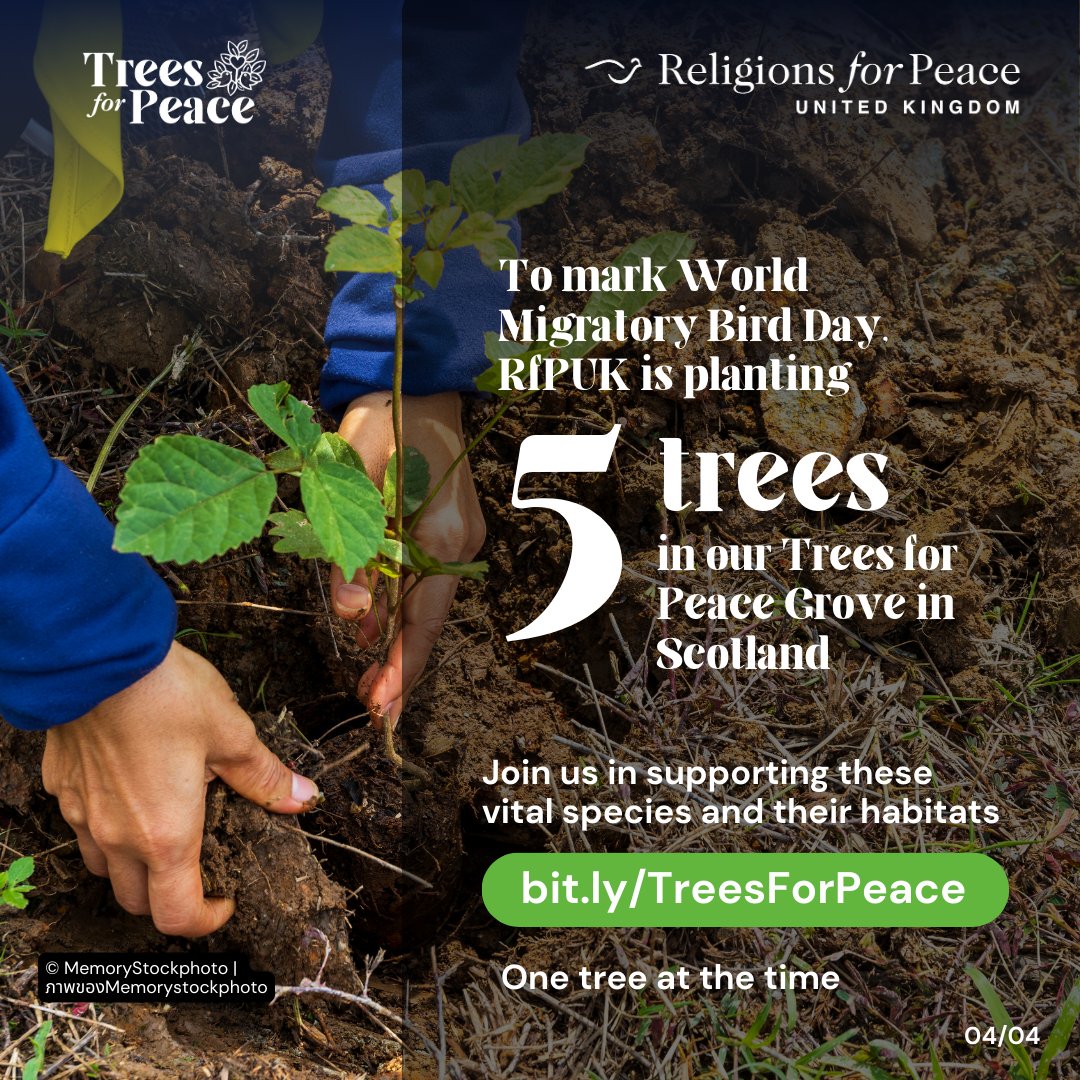 Religions for Peace UK tweet media