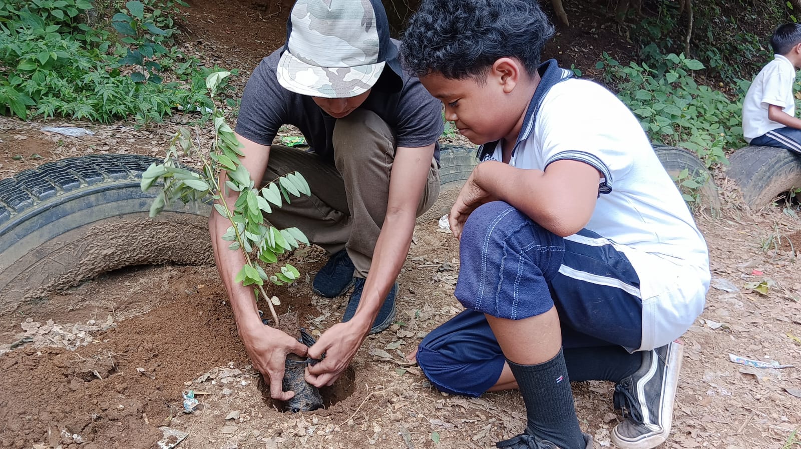 Jornada de reforestación 