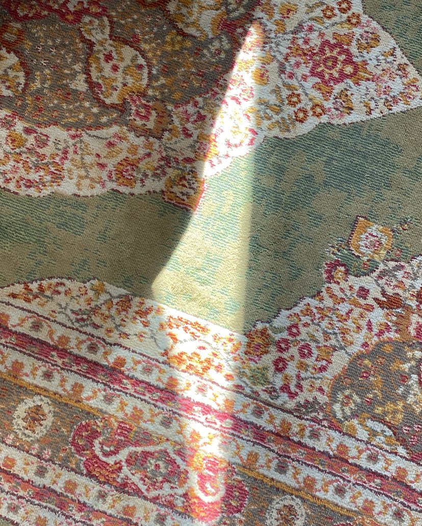 flstniya's tweet photo. Working on a video about Gaza and when I looked down, I found a sunspot in the shape of Palestine on the carpet 🫶🏼 the world is naturally for a free Palestine, of course https://t.co/rBO5slBPBV