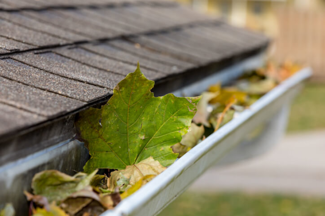 MeritInsuranceG's tweet photo. 14 Tips for Fall Home Prep https://t.co/Sf8o6IyOXN https://t.co/iwNPvRKNjr