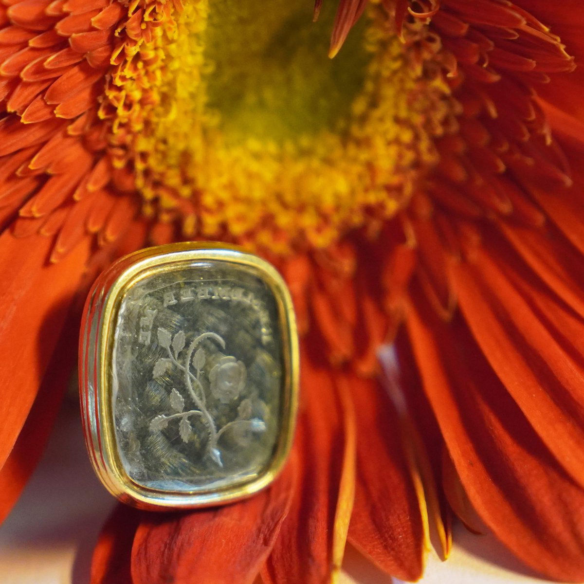 The Three Graces tweet media