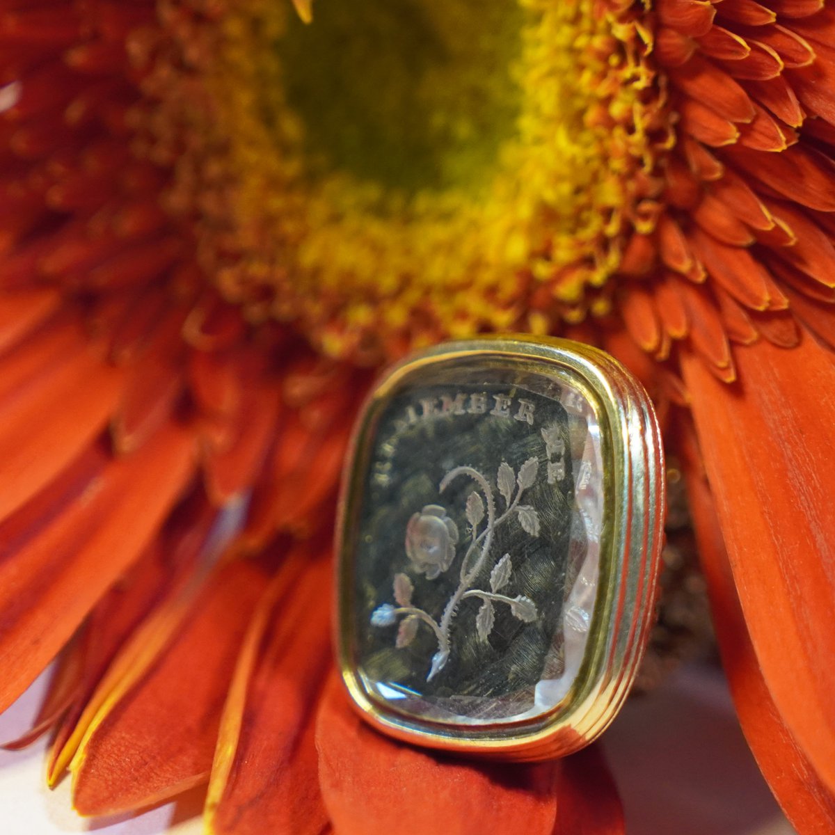 The Three Graces tweet media