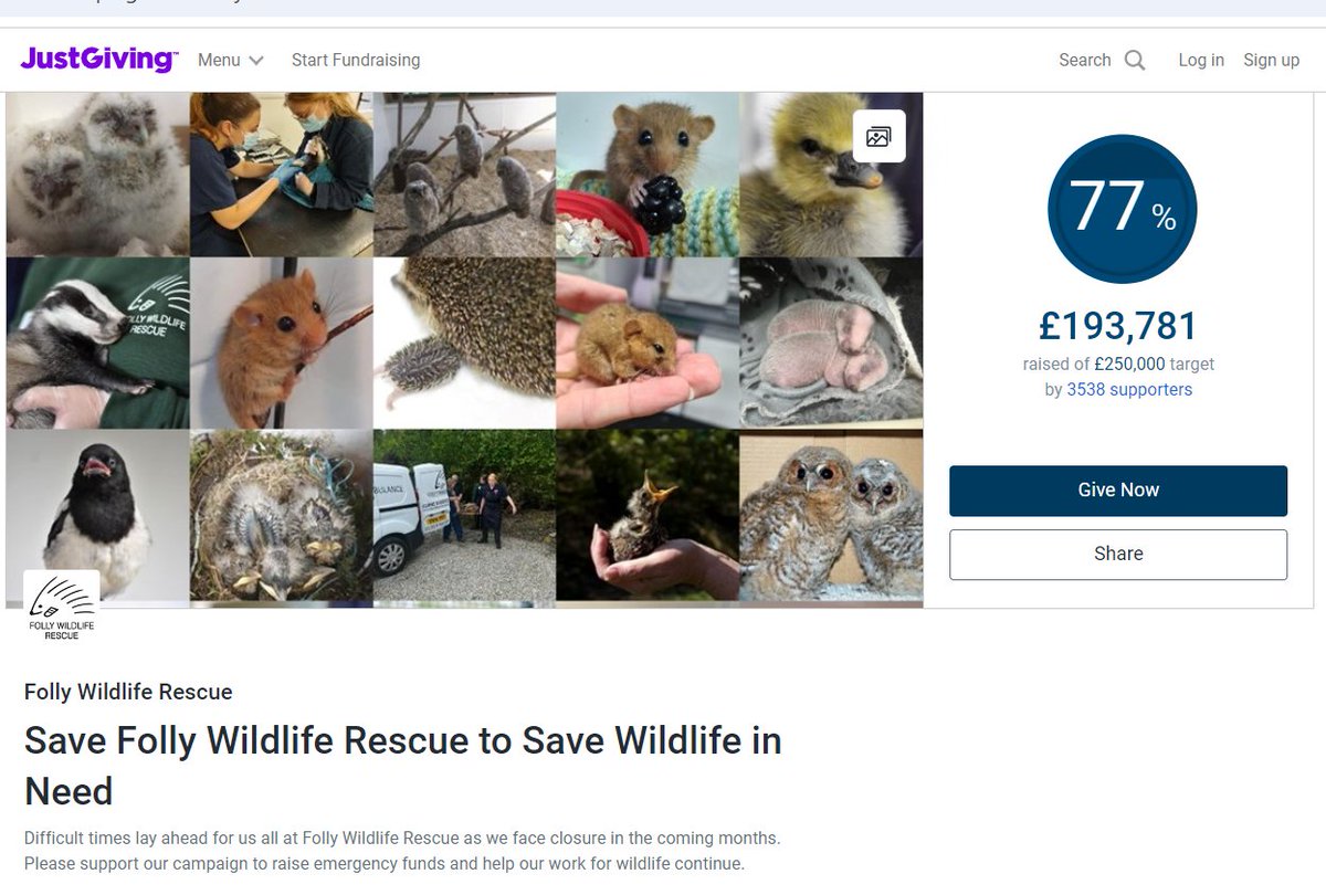 ireneHa20242849's tweet photo. Folly Wildlife Rescue receives no public funding
Please help #savefolly by
🐵Donate: https://t.co/yUKJZOZ0rU
👇more info👇🐦
#wildlife #wildliferescue #britishwildlife #nature #wildliferehab #johnnydepp #jillygoolden #sandrabeck #Rescue #Animals https://t.co/aasgsrPwVr
