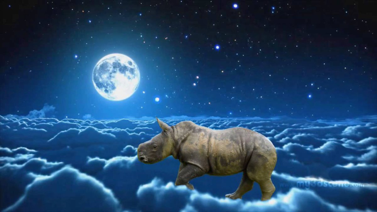 BitGoatmeme's tweet image. 晚安，为佛罗里达洲的人祈祷。🙏