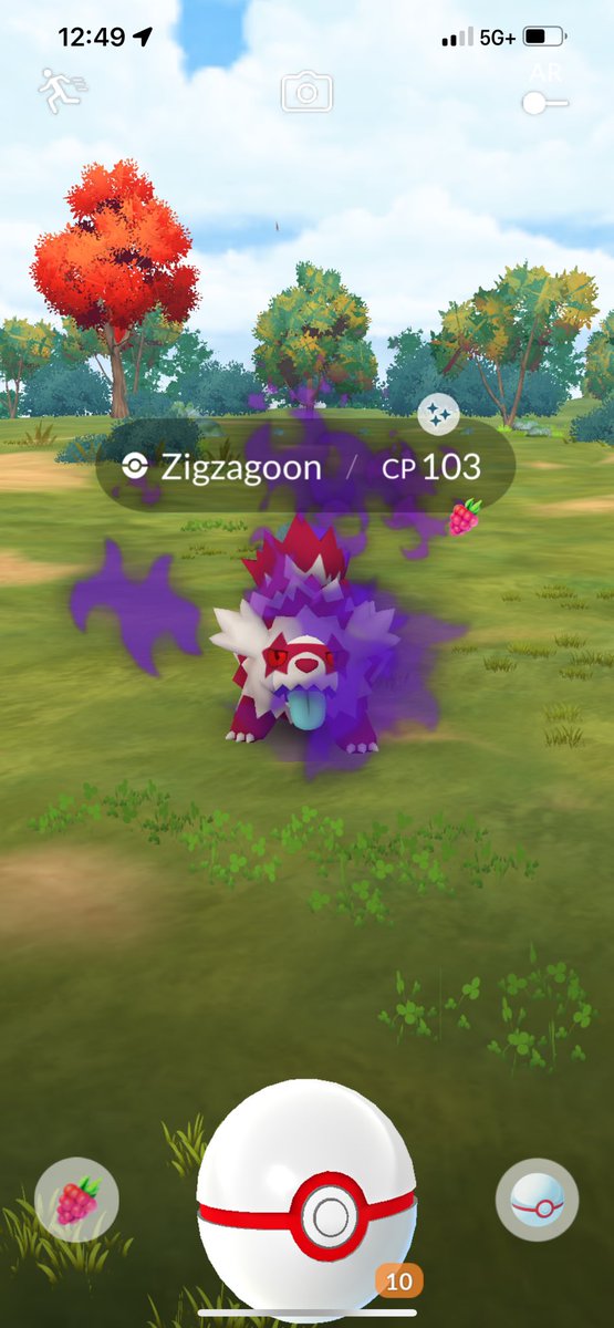 HaileyShhh's tweet photo. First leader battle of the event OMG thanks cliff #pokemongo https://t.co/3JK114me6Q