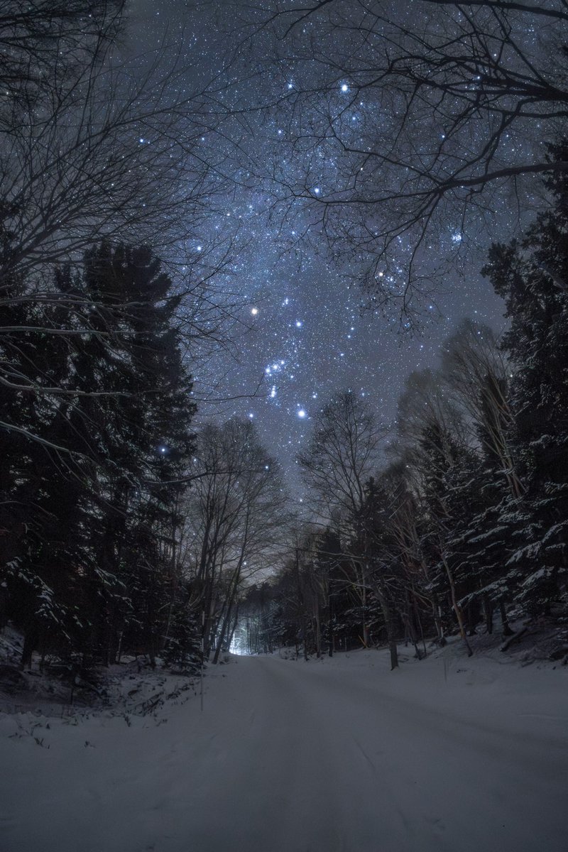 Space 8K tweet media