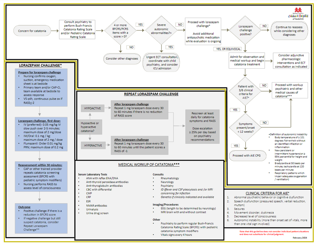 drjprogers's tweet photo. Nice new protocol for inpatient management of paediatric catatonia from @Joshua_RSmith et al. 

https://t.co/bmLUpVQwMS

Diagnostic algorithm... (1/2) https://t.co/8sNpIHLi1z
