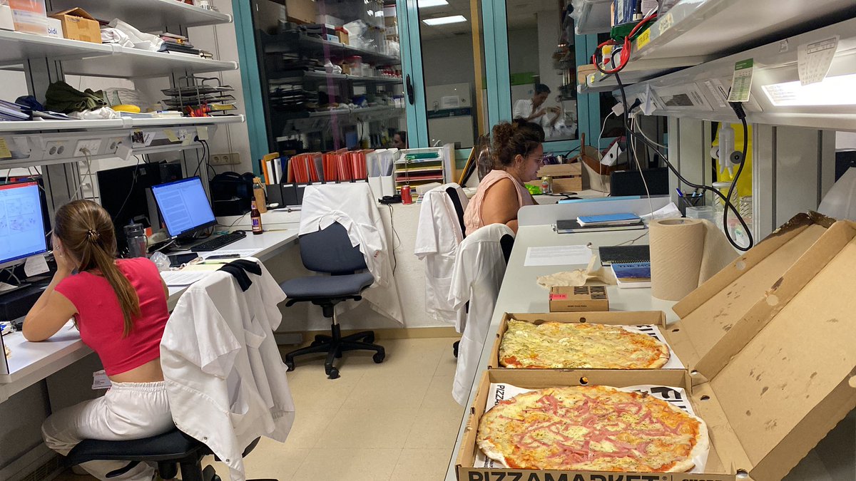 Paper pre-submission night. 💪🏼📄🍕