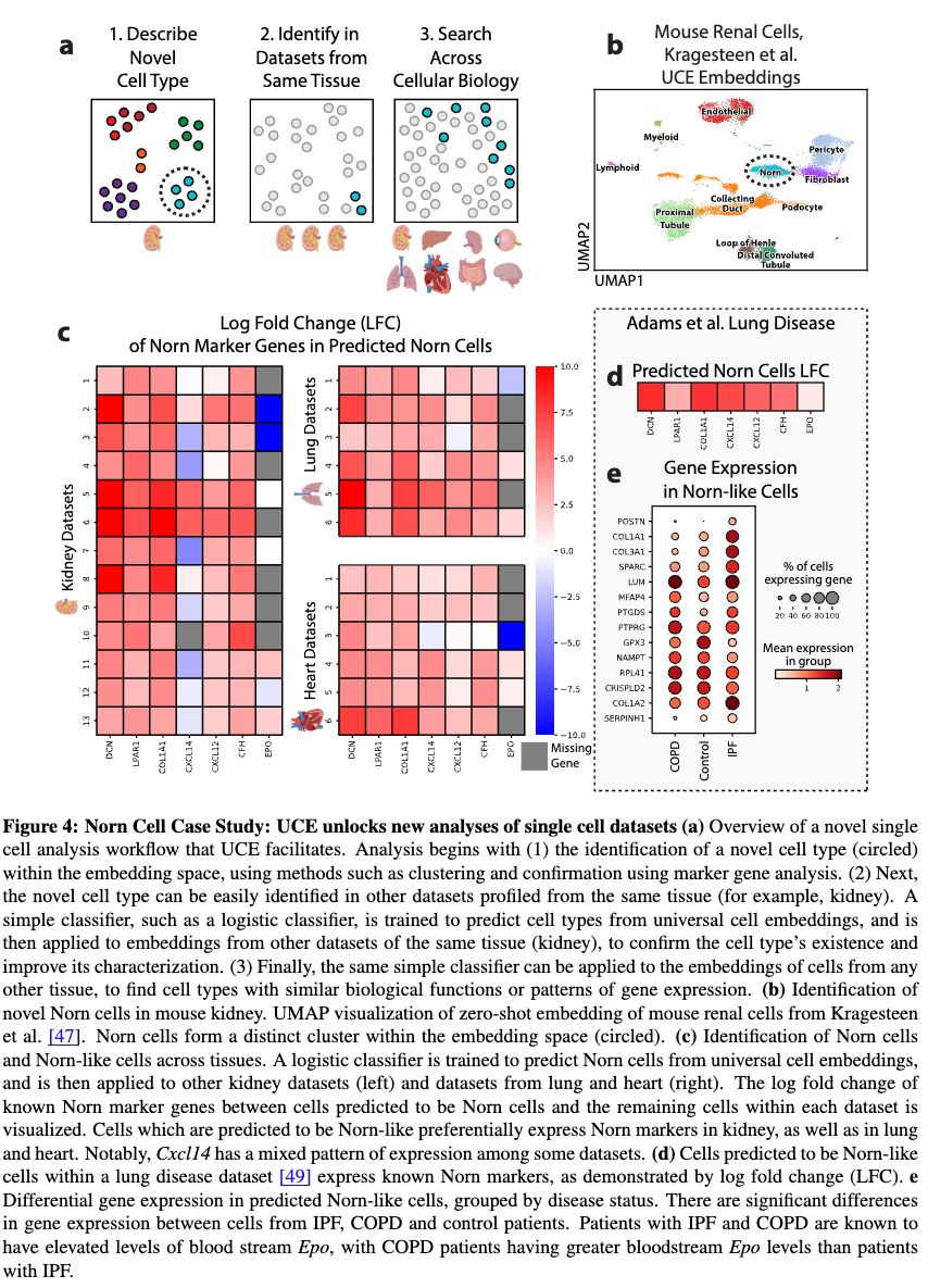 Universal Cell Embeddings: A Foundation Model for Cell Biology biorxiv.org/content/10.110… 🧬🖥️  github.com/snap-stanford/…