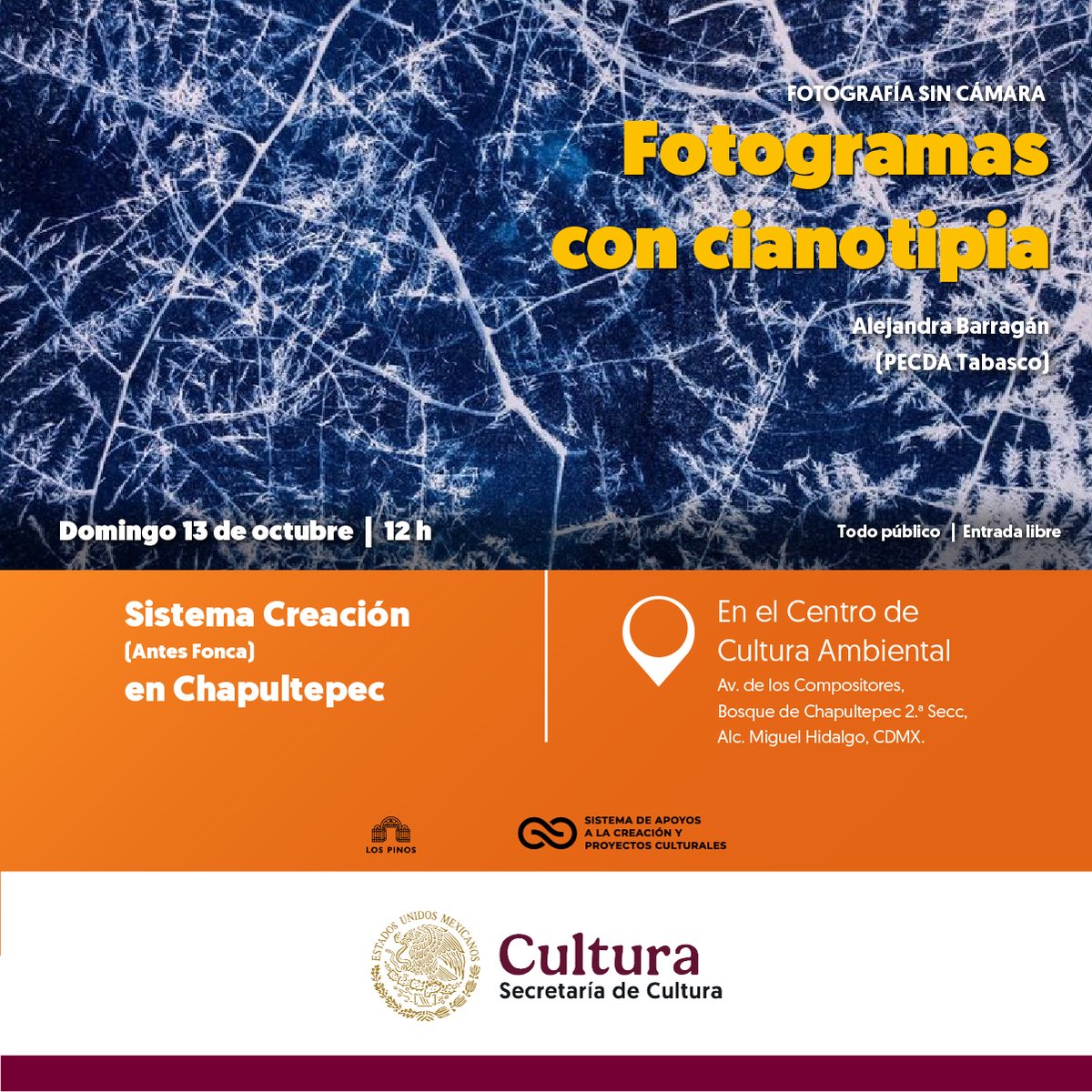 Sistema de Apoyos a la Creación tweet media