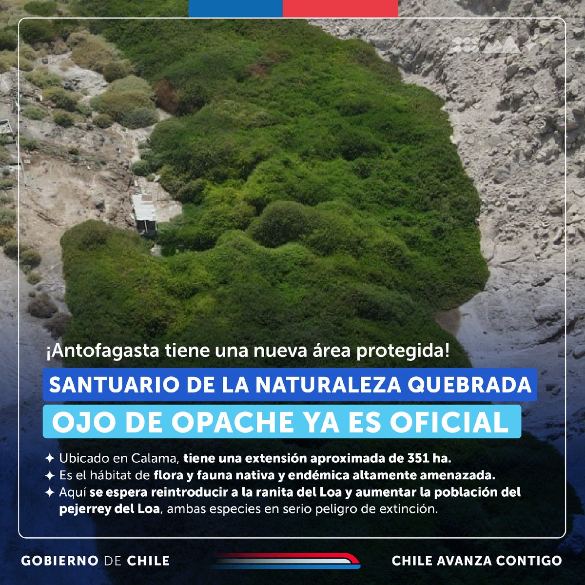 Ministerio del Medio Ambiente tweet media