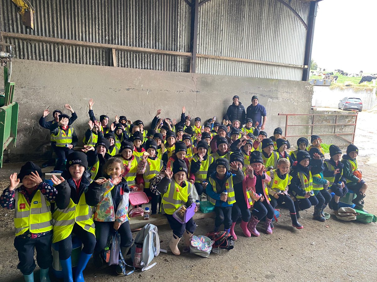 Brian Rohan tweet media