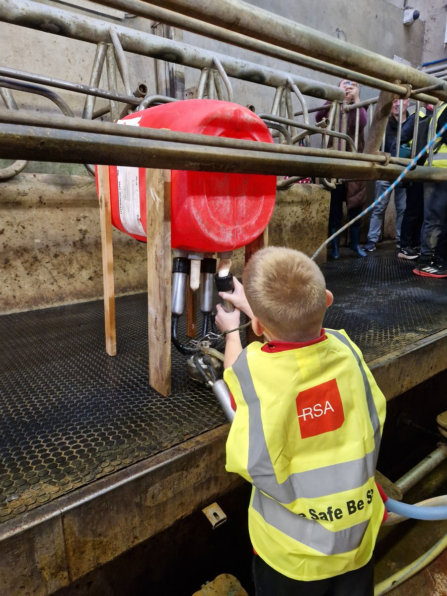 Brian Rohan tweet media