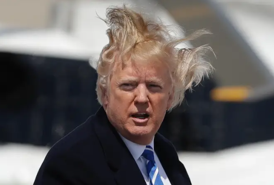levifishman's tweet photo. Of course he thinks the wind is bullshit. The wind is his greatest enemy. https://t.co/vKETjdAE2I