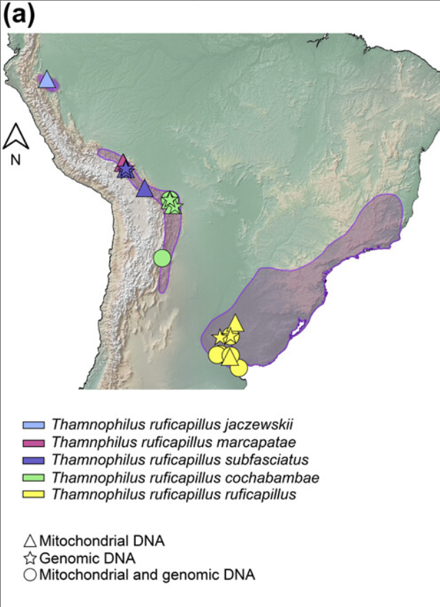 J. of Avian Biology tweet media