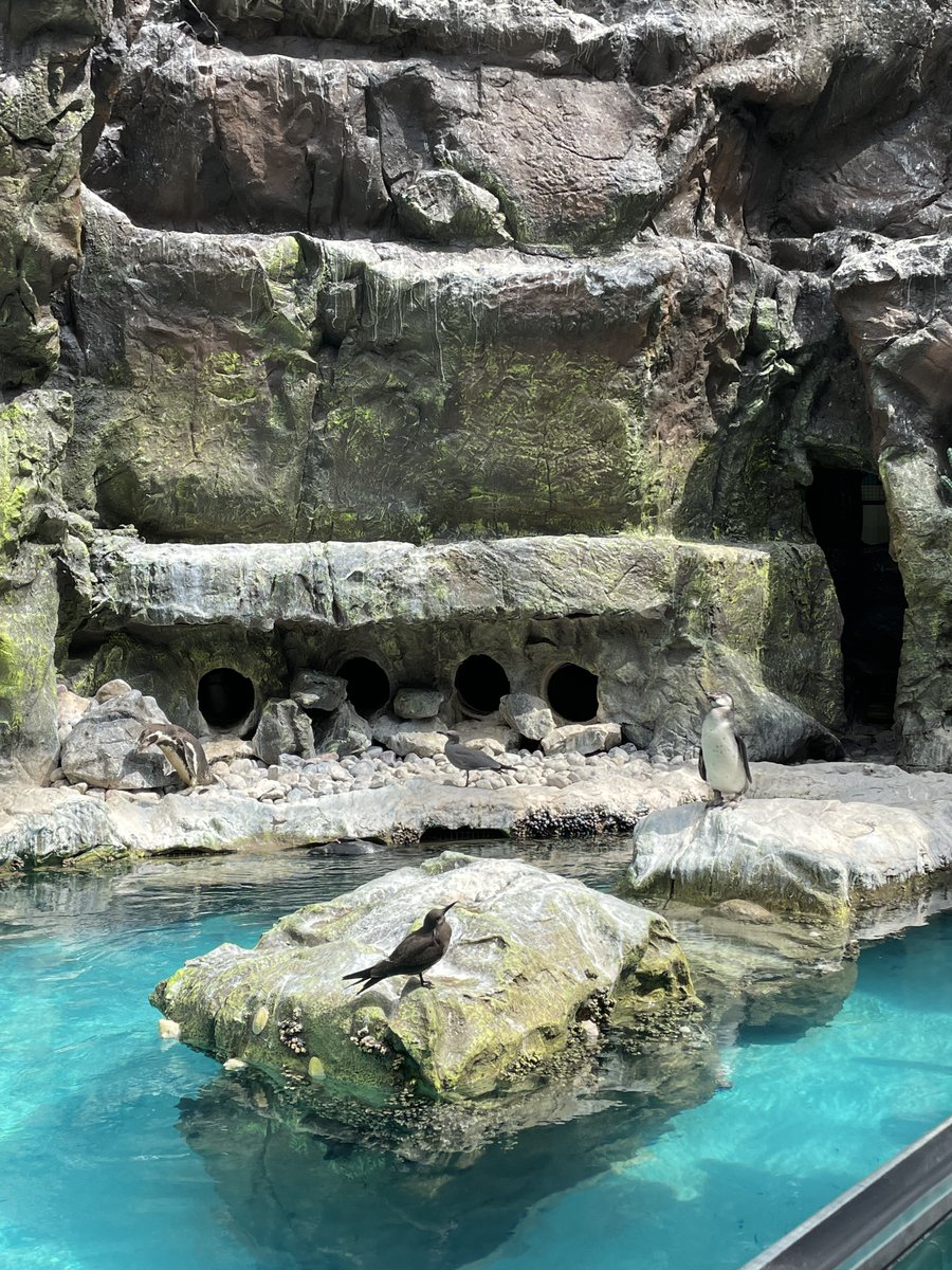 Karginov Lab tweet media