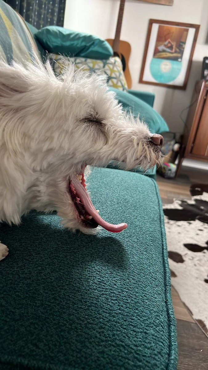 Can you smell my breath? Mom thinks maybe, even my buds in the UK. 😂😂😭😭