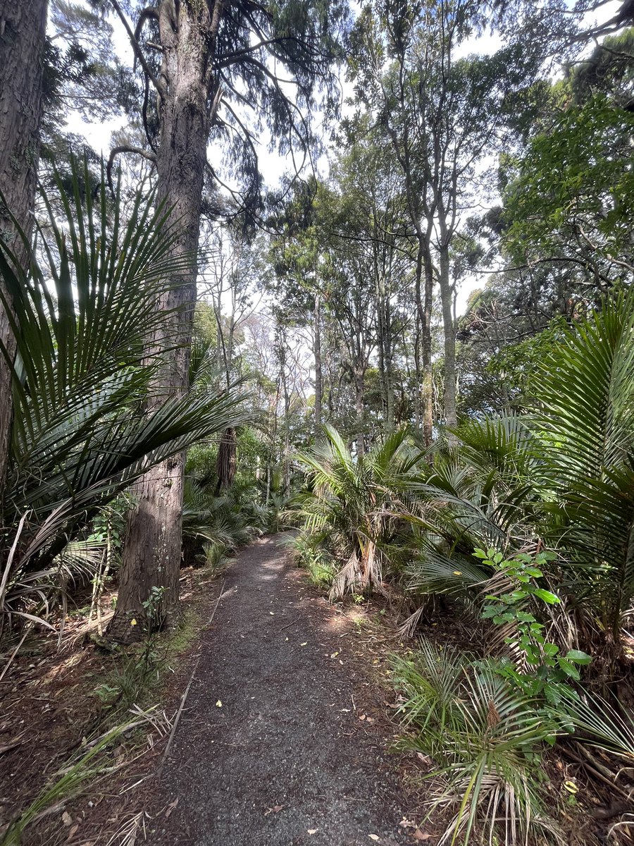 Ben Kirkpatrick tweet media