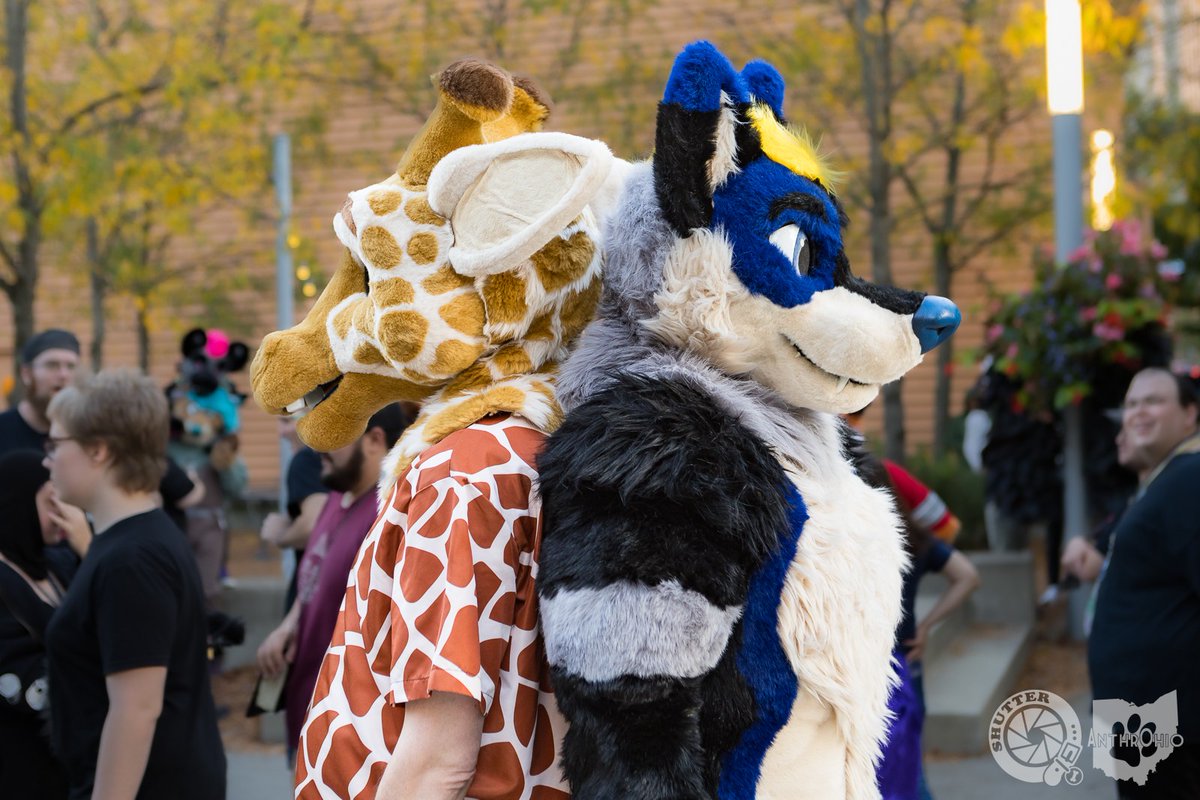 I finally found someone as tall as I am! Very fitting for it to be a giraffe <a href="/GiraffeLoopy/">Loopy Logic</a> 
📸: <a href="/BearDogShutter/">🅂🄷🅄🅃🅃🄴🅁➡️🅰️🅾️</a>