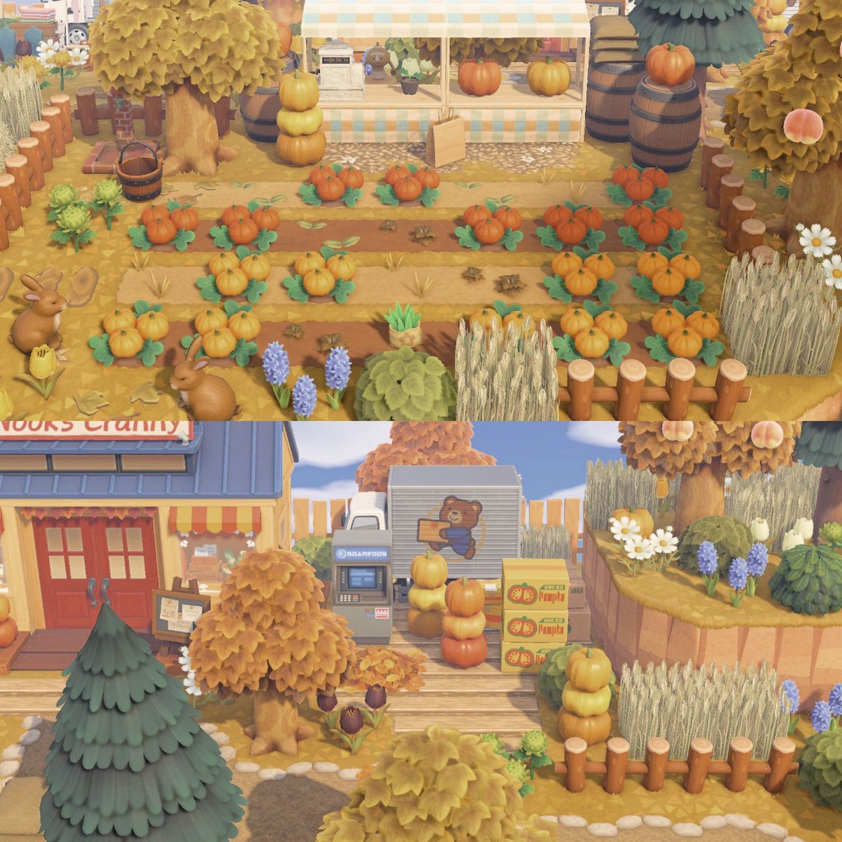 catecrossing's tweet photo. Nook’s pumpkin patch &amp; delivery 🎃

#ACNH #AnimalCrossing https://t.co/p3JLJRiwOO