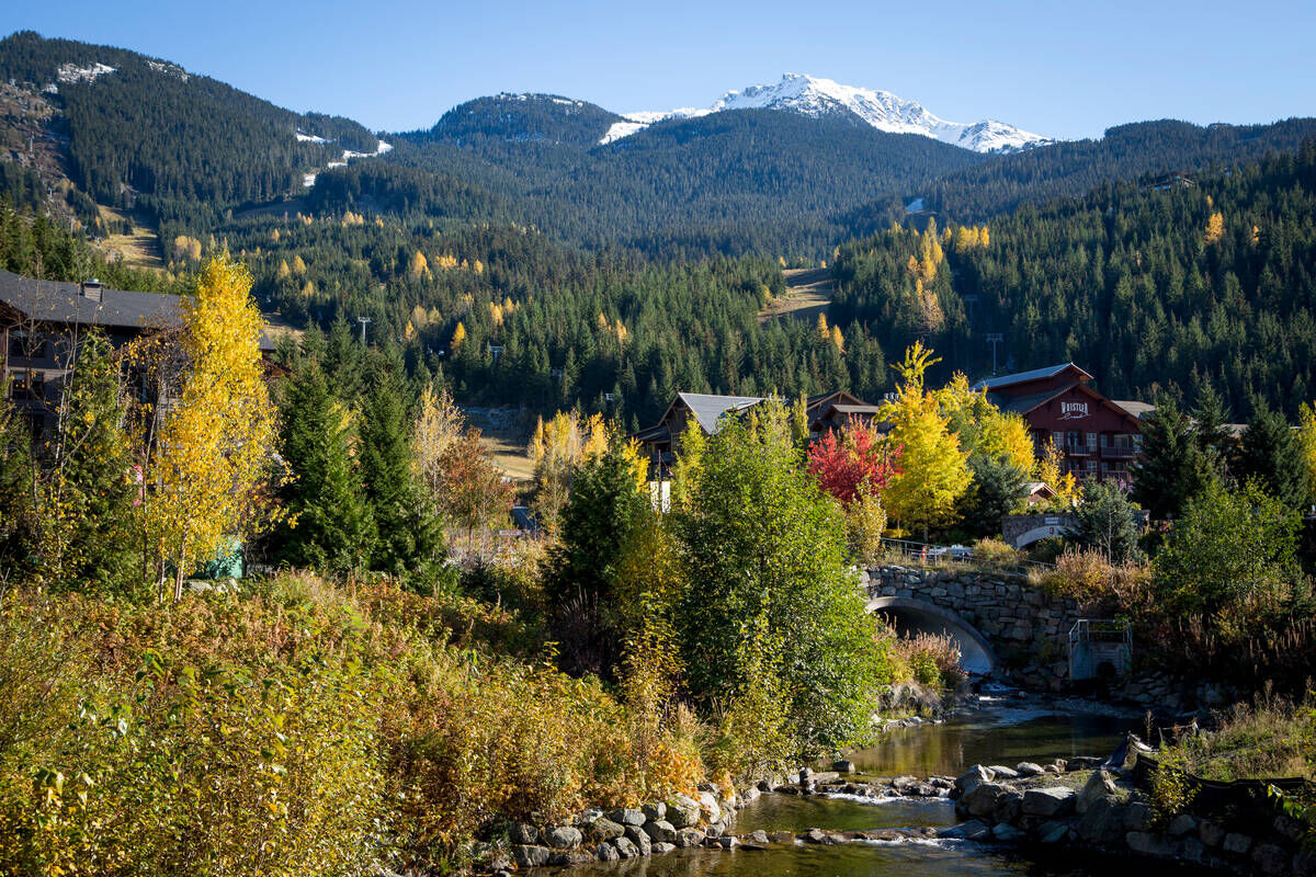 LodgingOvations's tweet image. Fall time vibes in Whistler, Creekside. 🍂

#WeHeartCreekside #WhistlerBC #FallTime

📷 Justa Jeskova