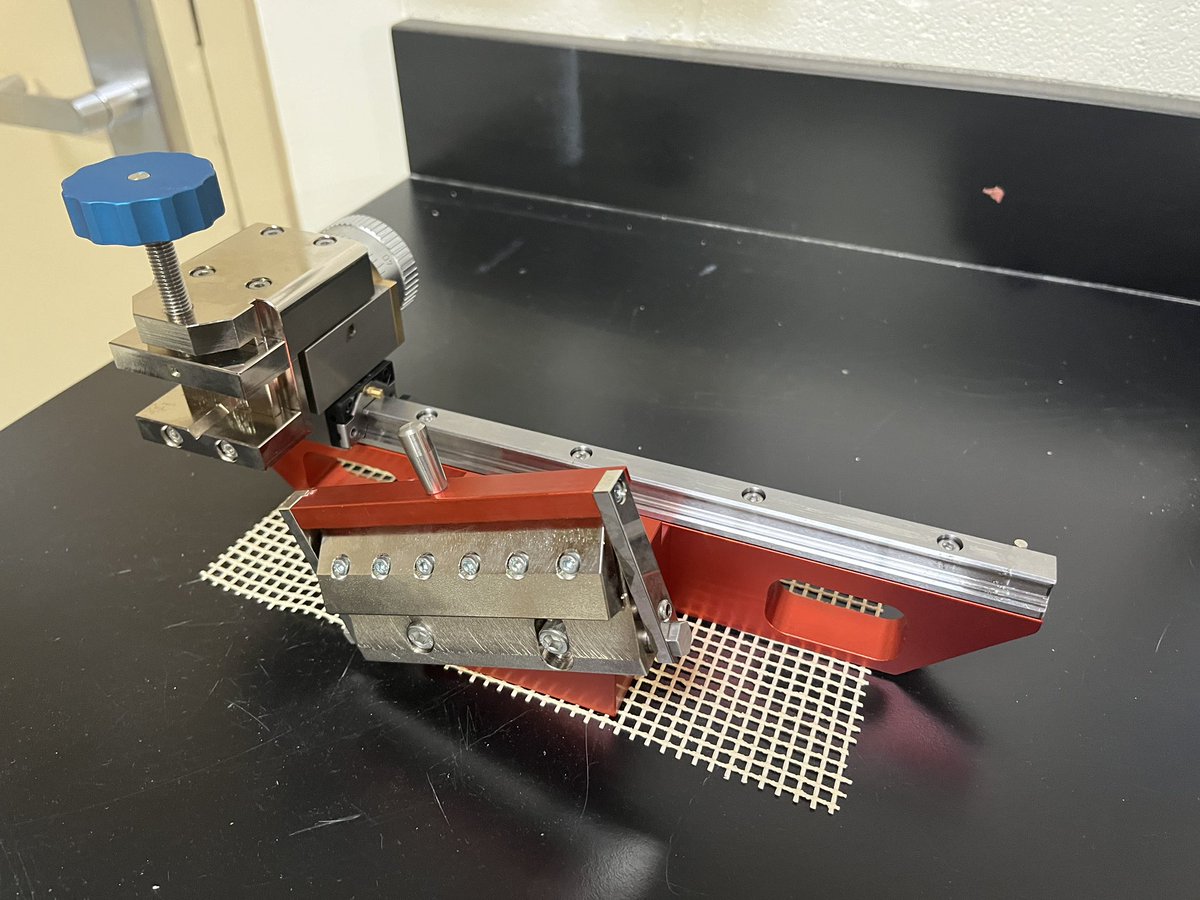 Brita Lorentzen 🔬🌲 tweet media