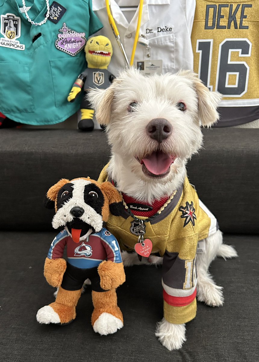 DekeHenriFurry's tweet photo. I’m ready for the hockey!
~ Deke🐾
#VegasBorn
#GoKnightsGo
#COLvsVGK
#OpeningKnight https://t.co/ZprAbIourh