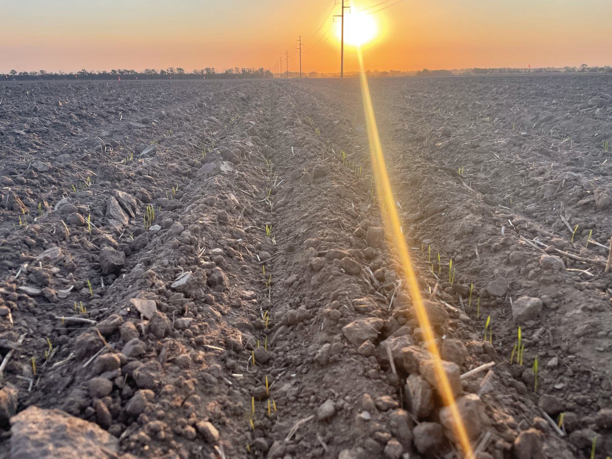 Jeff Seiler tweet media