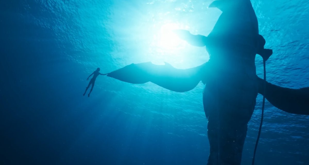 JackOCine's tweet photo. James Cameron quitte la jungle du premier film, non sans l'avoir remis à jour avec ses technologies de pointe, puis fait trempette. C'est là que cette suite prend son sens, son ampleur, et que la magie opère. #AvatarLaVoieDeLEau fête ses 2 ans. https://t.co/efuHxXIqAX
