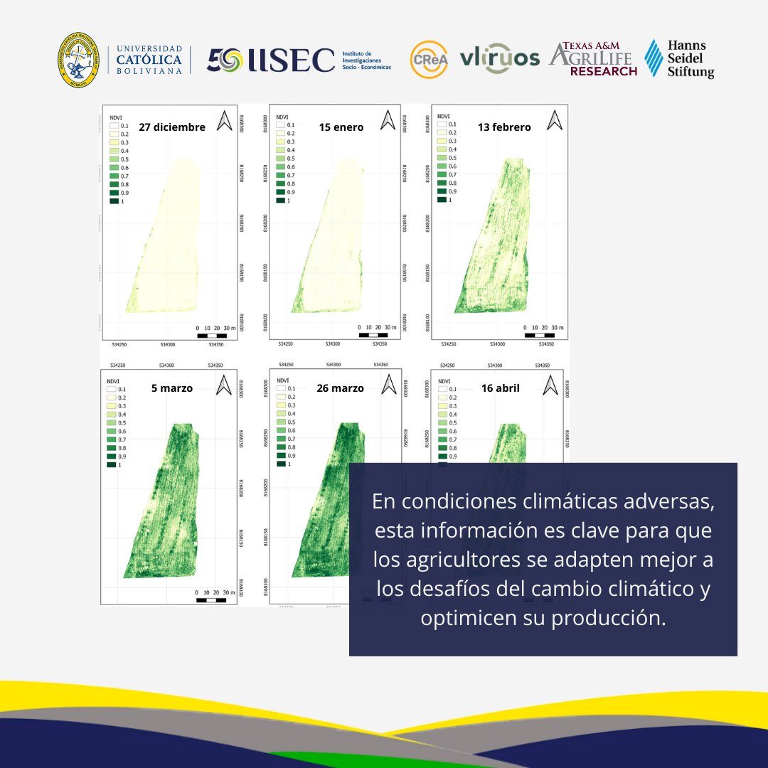 Instituto de Investigaciones Socio-Económicas tweet media