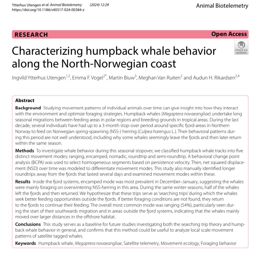 Emma Vogel tweet media