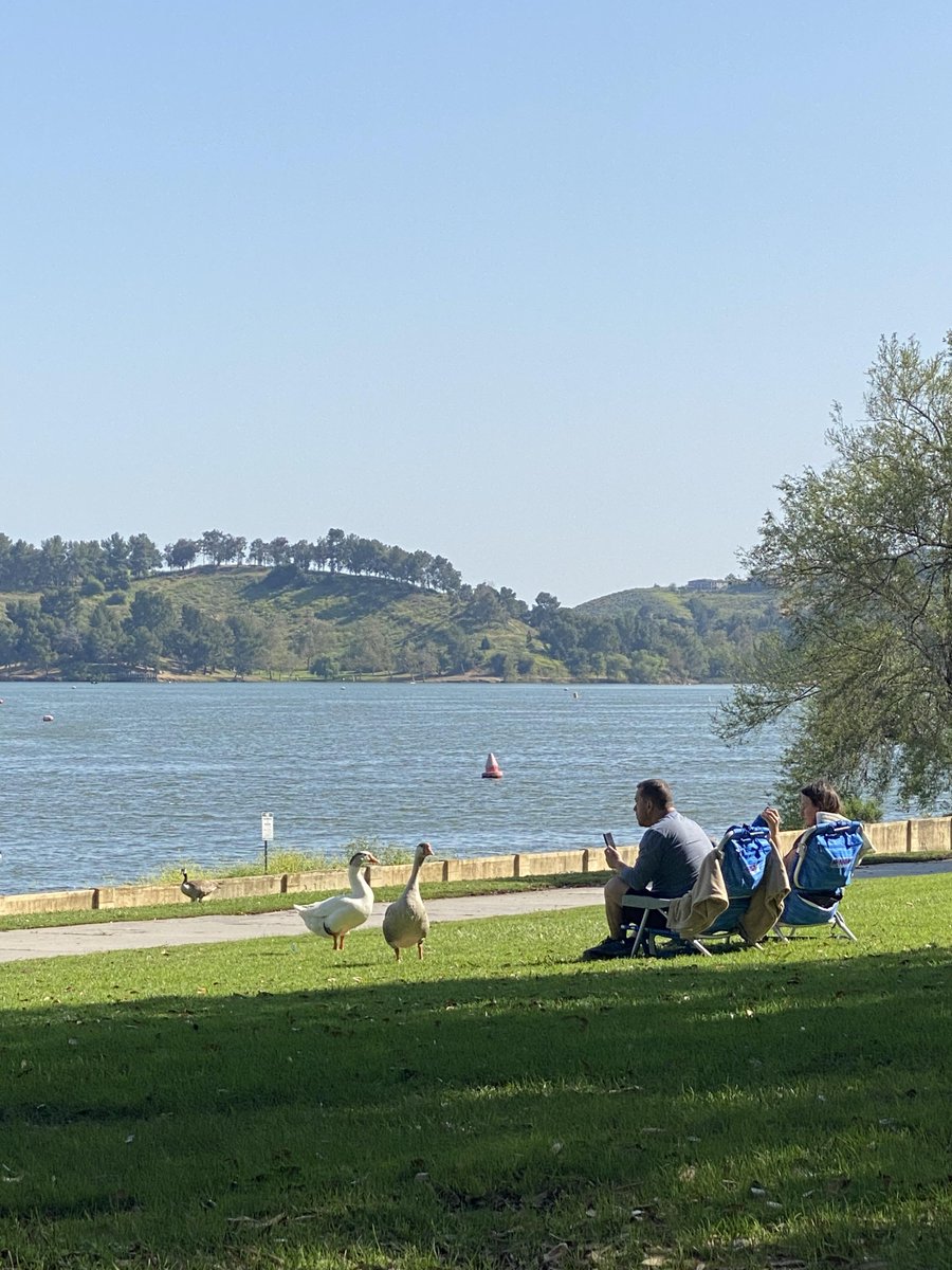 Samcersxa's tweet image. Capturing moments of tranquility in this Griffith Park🌤🫧