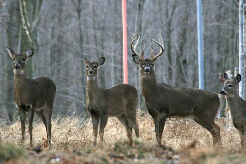 Lake Erie Nature & Science Center tweet media