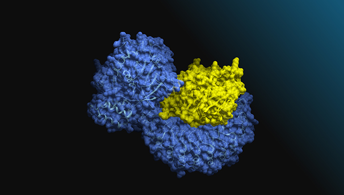 With the AlphaFold2-multimer NIM, researchers can now accurately predict these structures computationally in minutes or hours without ever needing to step into the lab.  #AI #healthcare #biopharma bit.ly/3YdSRjX