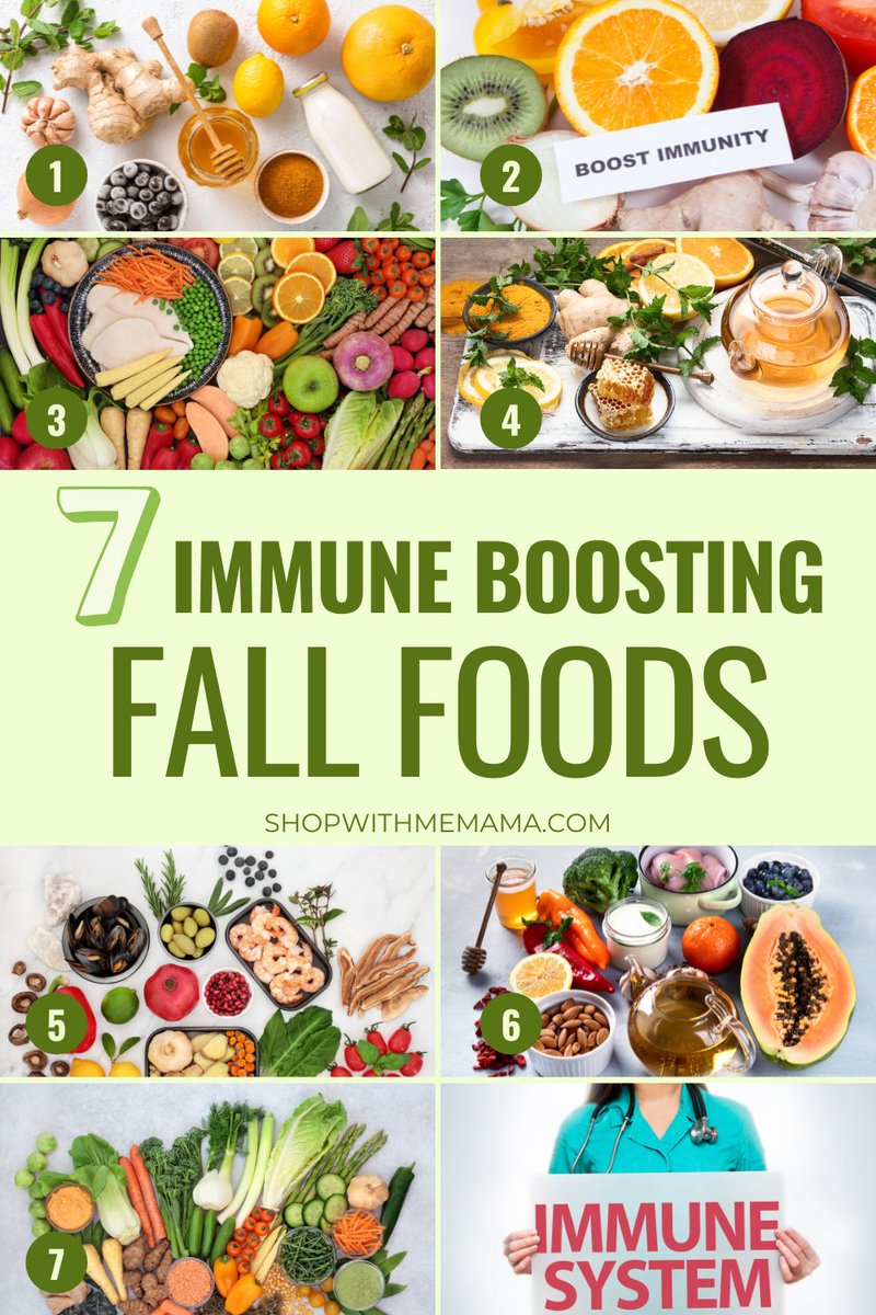 shopwithmemama's tweet photo. 7 Power-Packed Immunity Boosting Foods For Kids https://t.co/N0achmSrTM #immunesystem #immuneboosting #immuneboost #immuneboostingfoods #food #healthyfood #healthyfoods #healthylifestyle https://t.co/BhX5vyeK6d