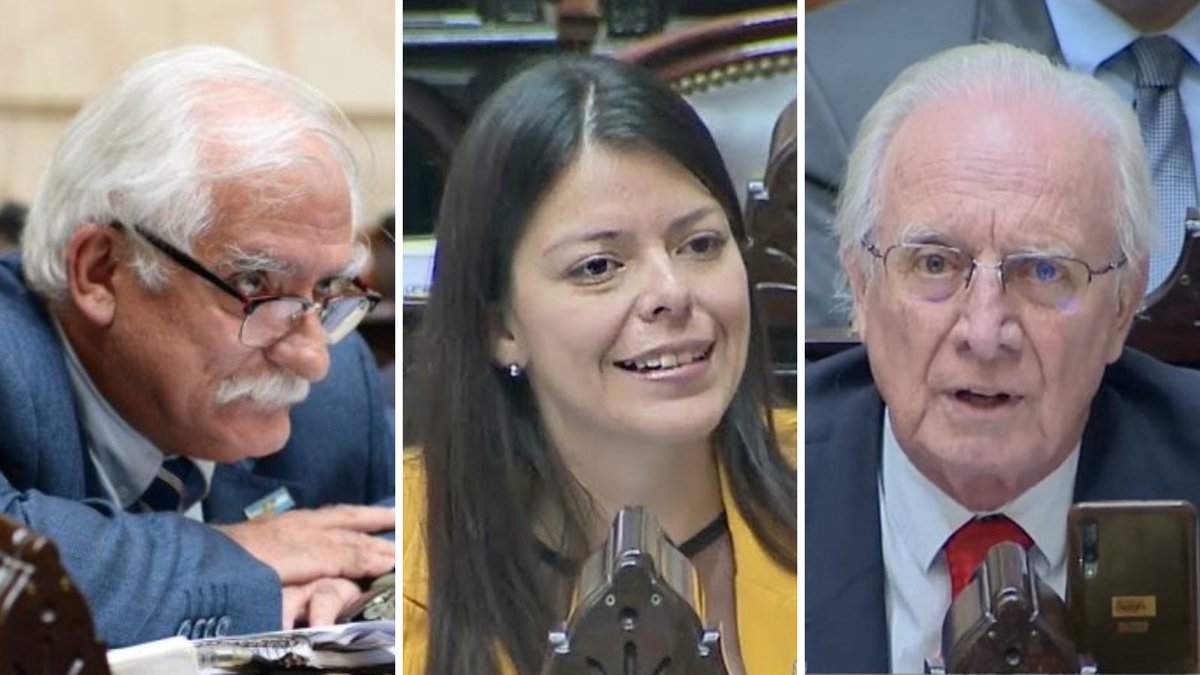 Fran Laiseca tweet media