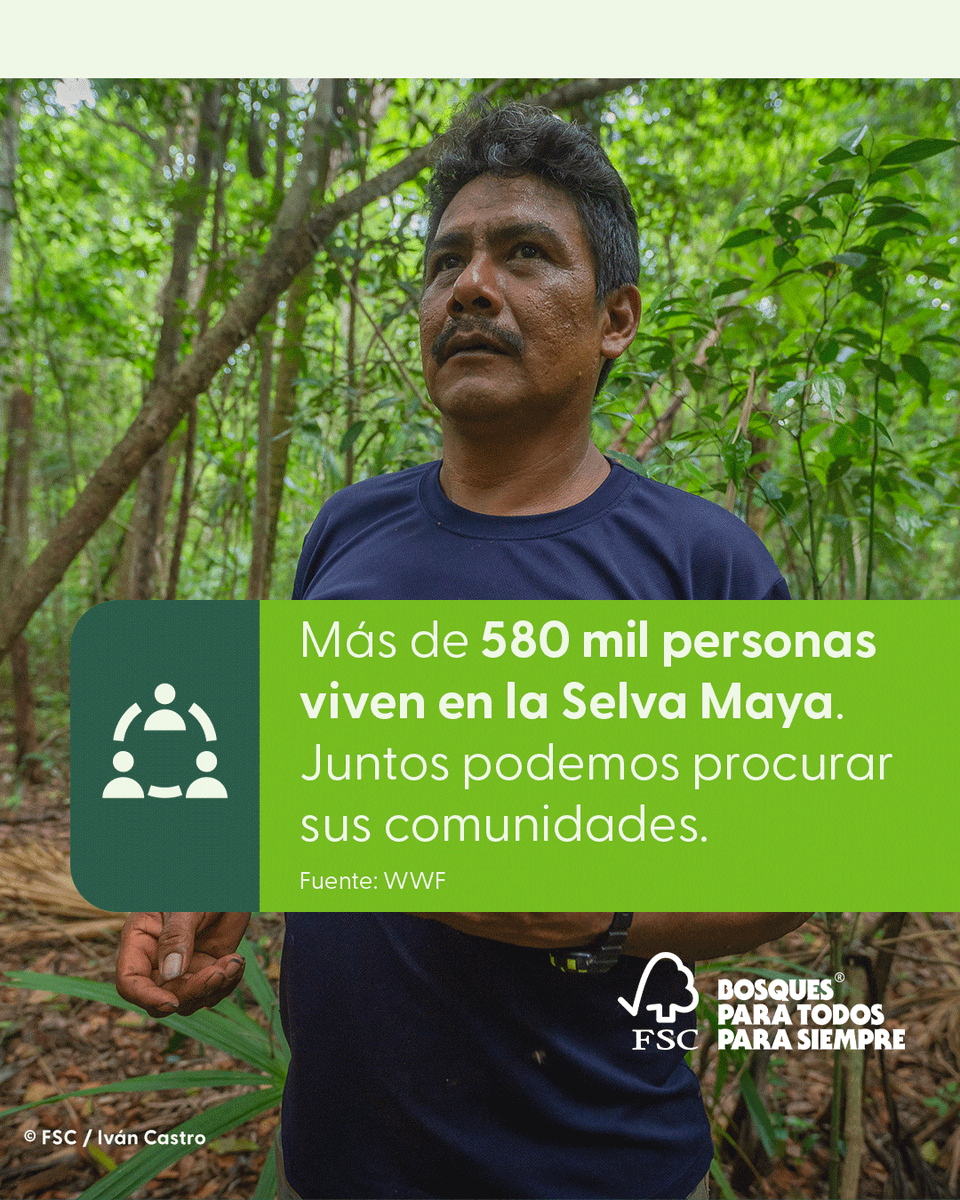 La tala, agricultura y turismo amenazan los bosques de México. Este #DíaDeLaProtecciónDeLaNaturaleza, elige bosques certificados FSC y sé parte del cambio. 🌳🌍 #FSCMéxico
