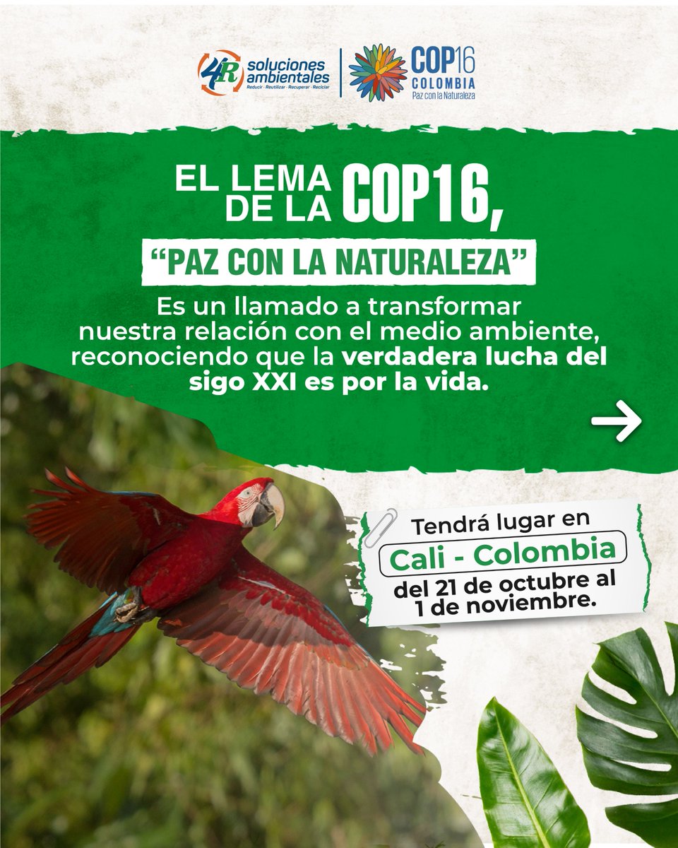 Soluciones4r's tweet photo. ��📷La COP16 se aproxima, y es un evento fundamental para el futuro de nuestro planeta. Pero, ¿Sabes realmente de qué se trata?

@COP16Oficial

#COP16 #COPDeLaGente #Cali #ValleDelCauca #Sostenibilidad #Biodiversidad #CambioClimático #RecursosNaturales #pazconlanaturaleza https://t.co/DAP2O8W3F2