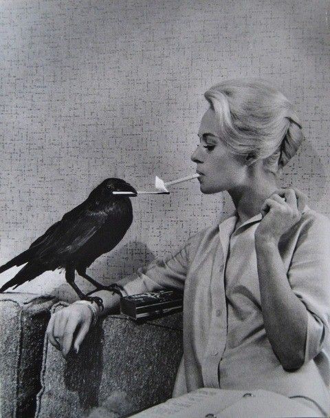 darylandfilms's tweet image. it&apos;s been over sixty years and no film promo pic has gone as hard as this still of tippi hedren lighting one up with a crow for alfred hitchcock&apos;s &apos;the birds&apos; (1963)