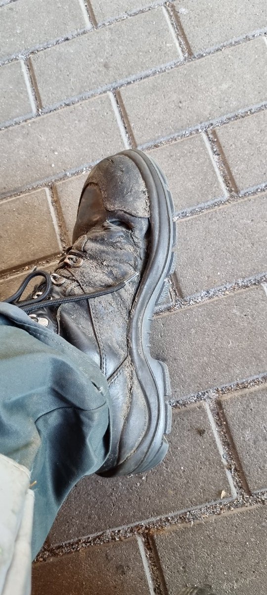 Chat? Glaubt ihr die gehen noch 1 Jahr?