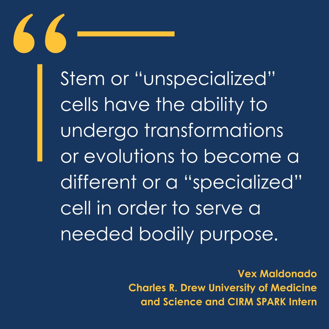 CIRMnews's tweet photo. It’s #StemCellAwareness Day! 🧫

Hear from high school interns from the #CIRMSPARKLab program on what they learned about #StemCells and their potential.

#StemCellAwarenessDay #WeAreStemCells #StemCellResearch #CIRM https://t.co/llbb3mLG2A