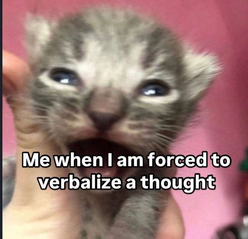 LiterallyMeCats tweet media