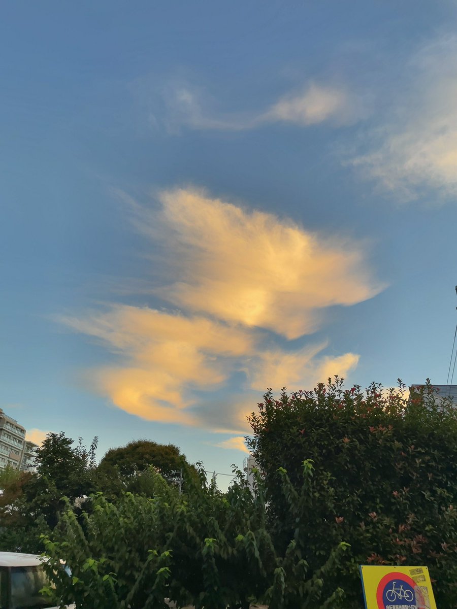 eXebLvEpLIqqlyj's tweet photo. 出勤中😊空が明るい✨
#出勤 #いまそら https://t.co/hJOW8MVy22