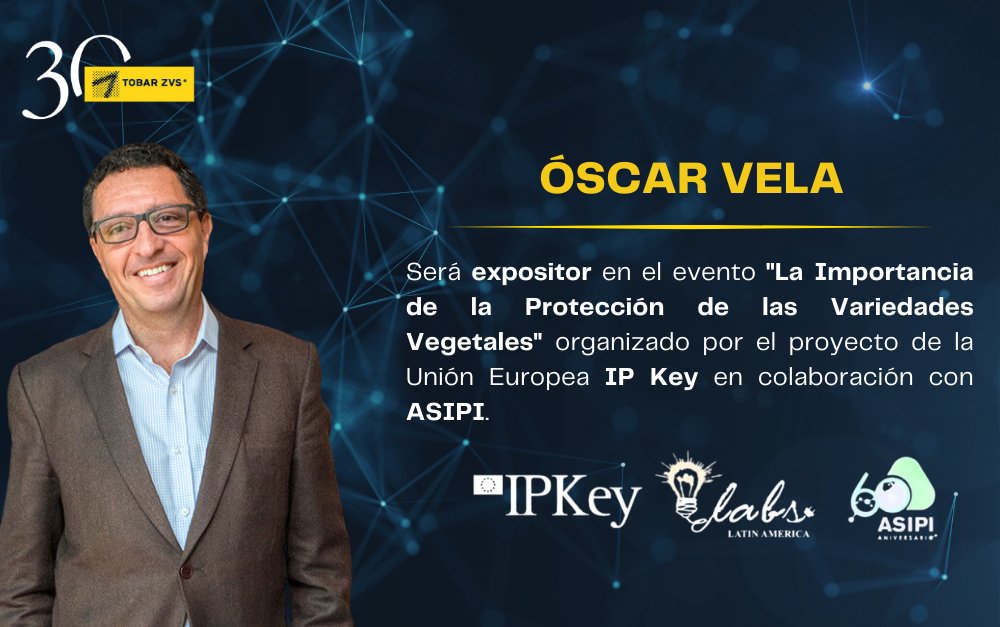 Tobar_ZVS's tweet photo. Mañana en Lima-Perú, nuestro socio Óscar Vela expondrá en el evento organizado por el proyecto de la Unión Europea IP Key en colaboración con ASIPI sobre "La Importancia de la Protección de las Variedades Vegetales".
#TobarZVS #Variedadesvegetales #ASIPI #IPKey https://t.co/S6gYzahQK7