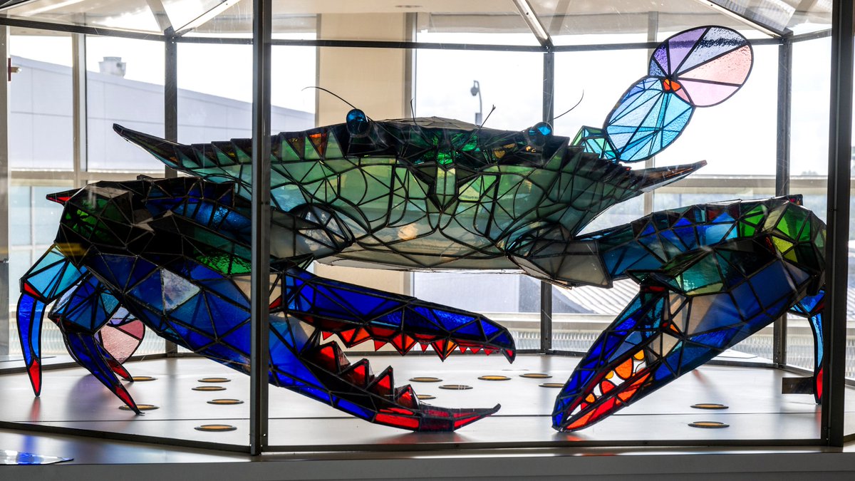 Photo of the "Callinectes Douglassi" stained glass crab sculpture on display at BWI Marshall Airport.