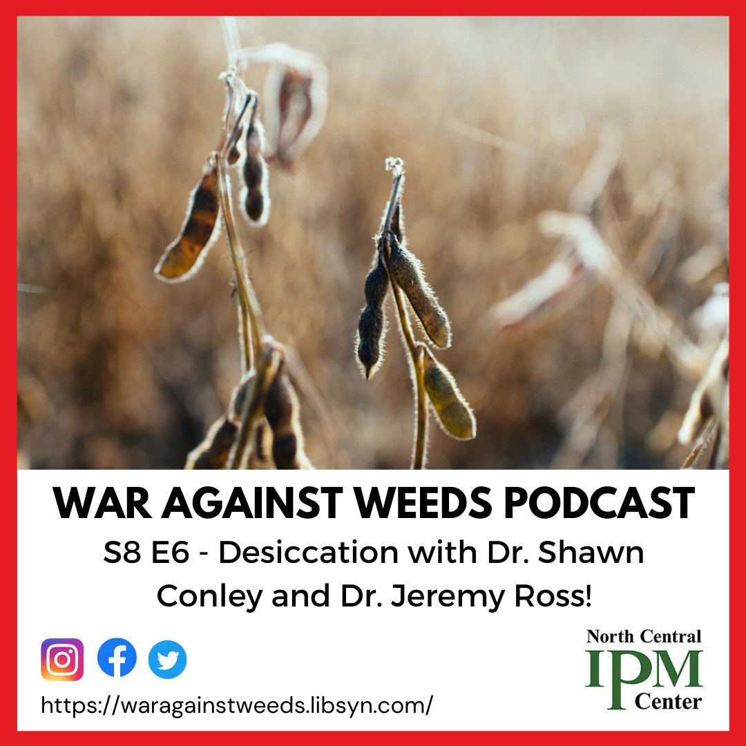 WarAgainstWeedsPodcast (@waragainstweeds) on Twitter photo This week’s topic is DESICCATION! Joe and Sarah discuss fall desiccants in various bean crops with
<a href="/badgerbean/">Shawn Conley</a> and <a href="/arksoydoc/">Jeremy Ross</a>!
You can find more info on these websites👇 coolbean.info
Uaex.uada.edu
Thanks to our sponsor <a href="/ncipmc/">North Central IPM Center</a> for their support! This week’s topic is DESICCATION! Joe and Sarah discuss fall desiccants in various bean crops with
<a href="/badgerbean/">Shawn Conley</a> and <a href="/arksoydoc/">Jeremy Ross</a>!
You can find more info on these websites👇 coolbean.info
Uaex.uada.edu
Thanks to our sponsor <a href="/ncipmc/">North Central IPM Center</a> for their support!