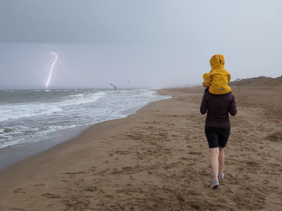 Sarah Johnson tweet media