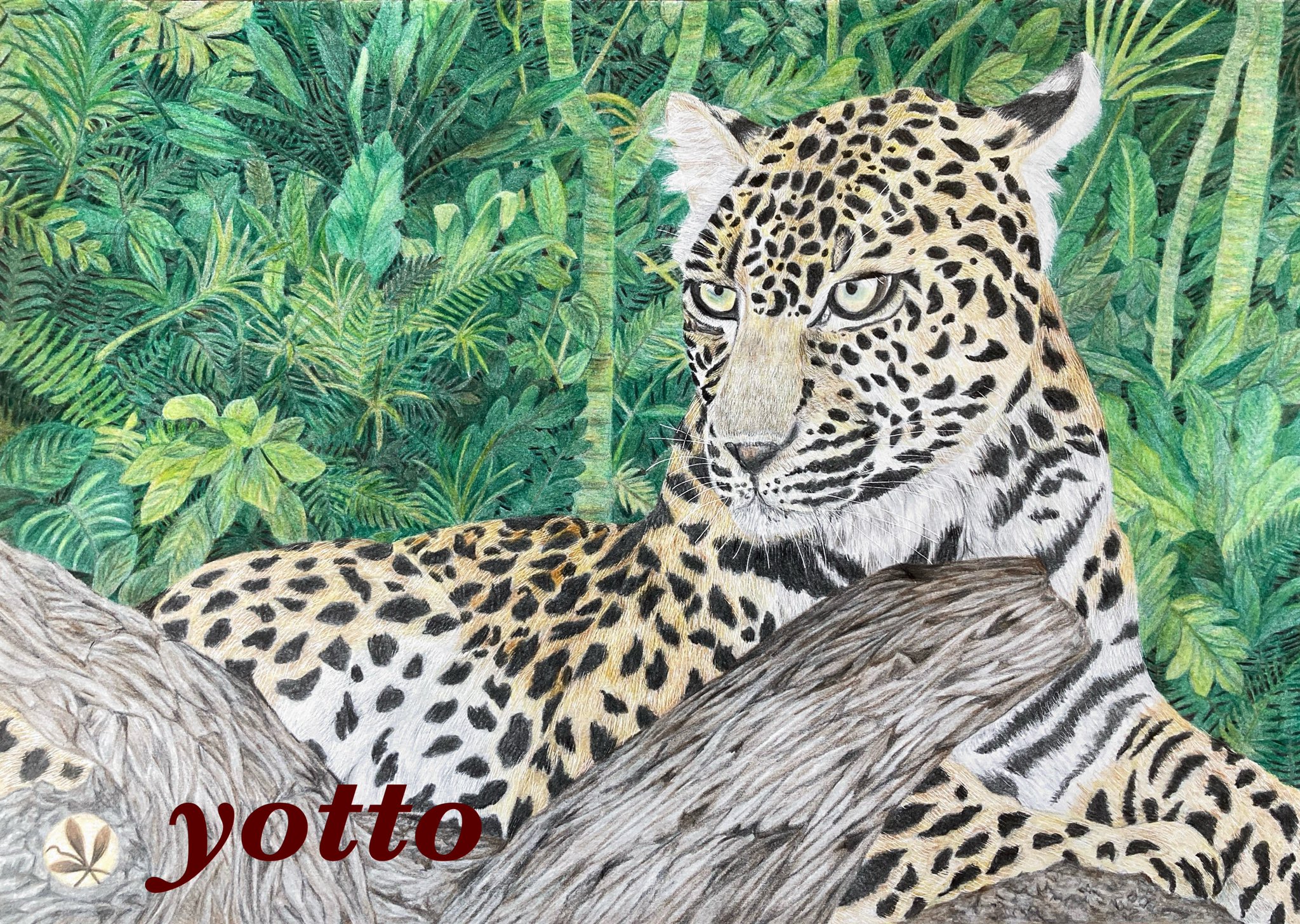 色鉛筆画　☻002☻ページ yotto's gallery【 色鉛筆画家 】 on X: 