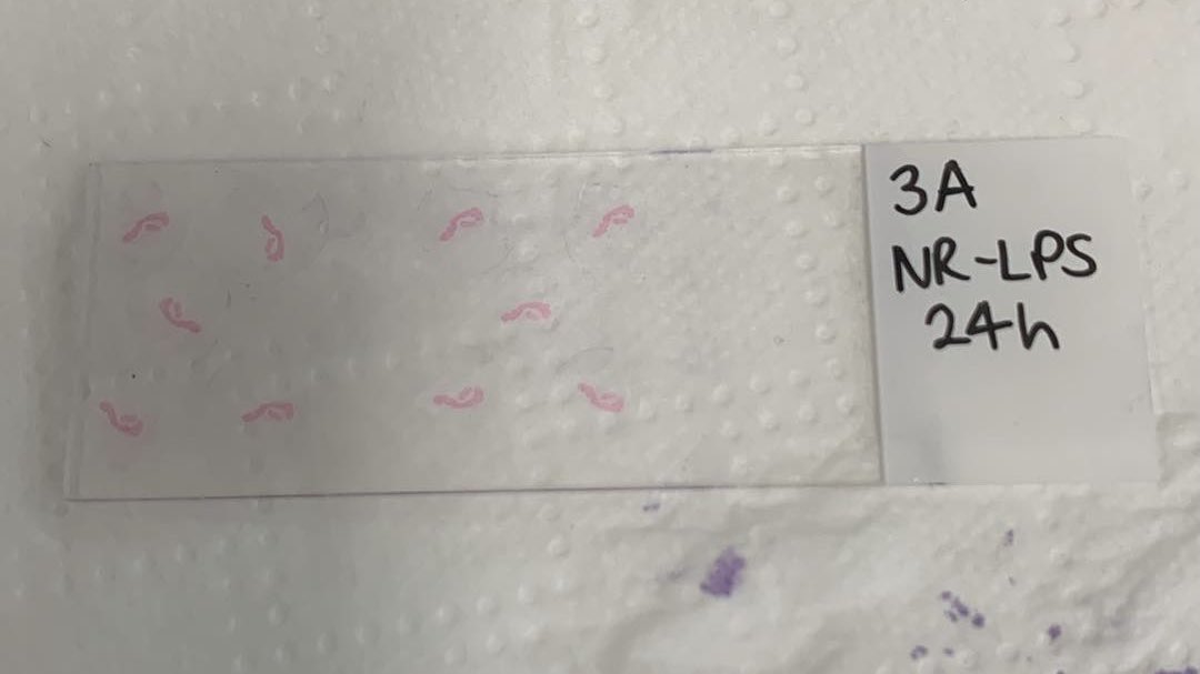 Nothing beats the joy you feel when months of work starts paying off and experiments start working!!