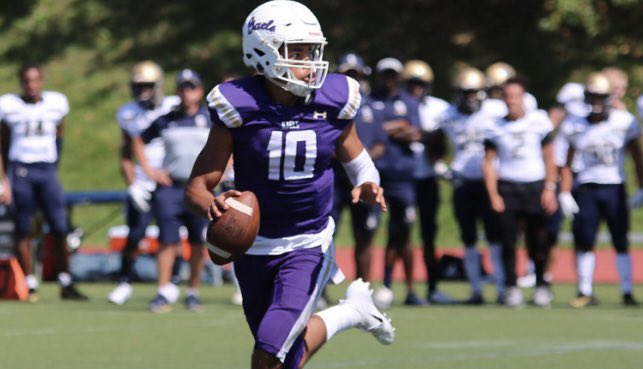 themamba tweet media